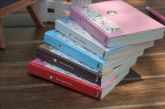 Mini Mate Diary